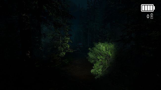 Forest Lookout