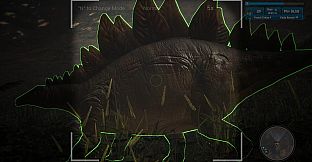 Morels: Out of this World