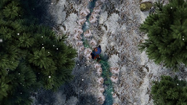 How I learned to Skate