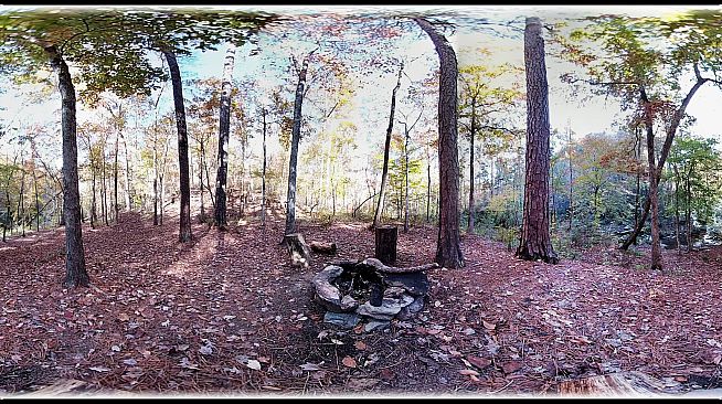 Exhale XR - Magical Woodlands