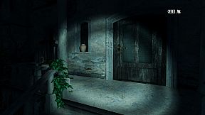 Pineview Drive - Homeless