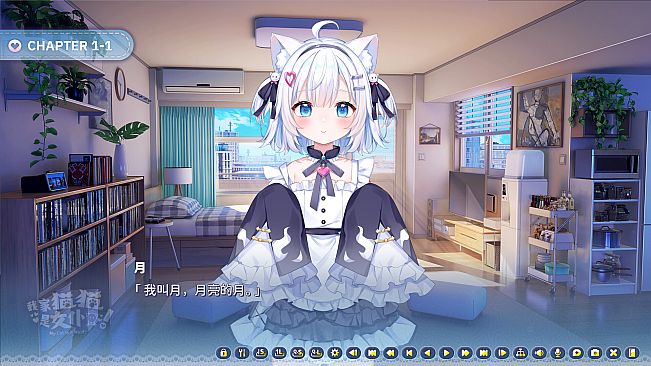 My Cat Is a Maid!
