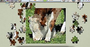 Jigsaw Pieces - Sweet Times