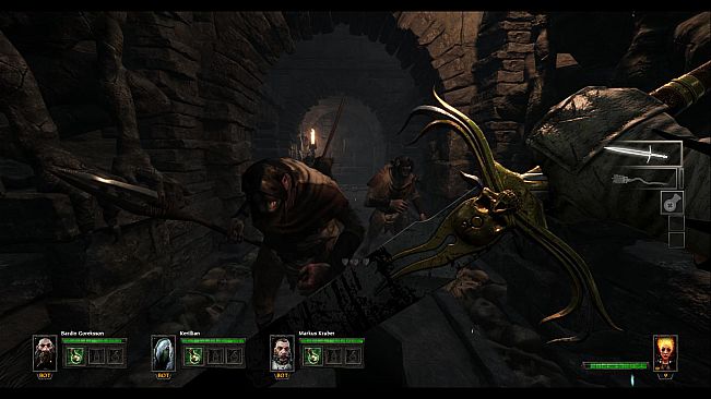 Warhammer: End Times - Vermintide Drachenfels