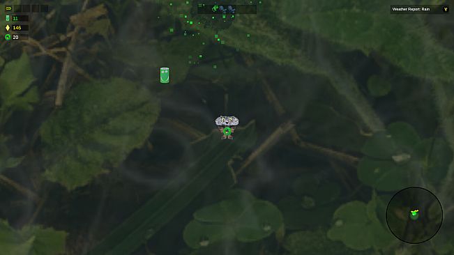 Shroomocracy! And The Wand Of Ages