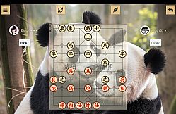 Chinese Chess - Xiangqi