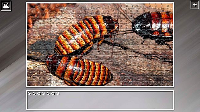 Super Jigsaw Puzzle: Generations - Madagascar