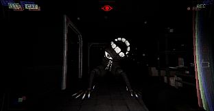 Have You Seen This Cat?