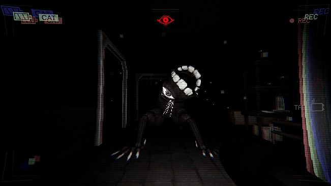 Have You Seen This Cat?