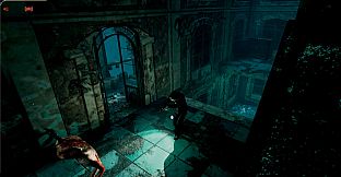 Injection π23 NNNN Expansion Events