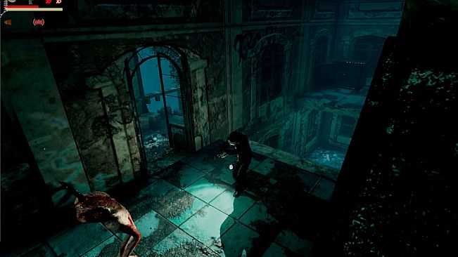 Injection π23 NNNN Expansion Events