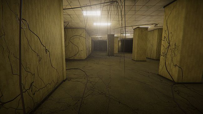 Welcome To The Backrooms