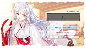 Puss in Combat Boots