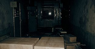 THE HUNTED: SHADOWS OF DESPAIR