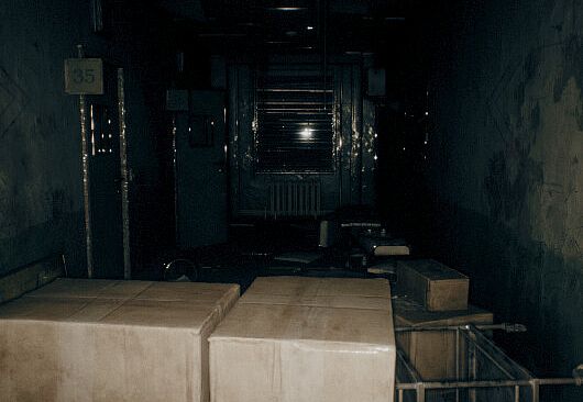 THE HUNTED: SHADOWS OF DESPAIR