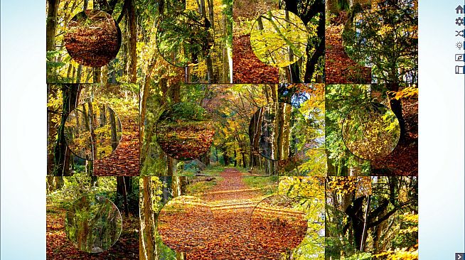 Let's Play Jigsaw Puzzles