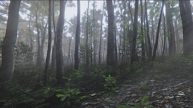 Mindfulness Simulator - ASMR Meditation Game