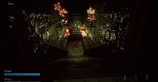 During Before And After COVID-19