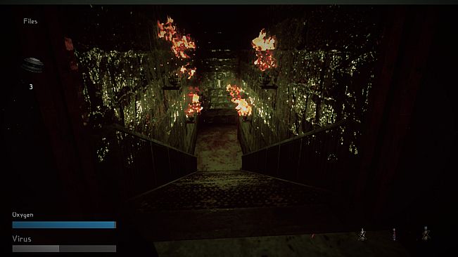 During Before And After COVID-19