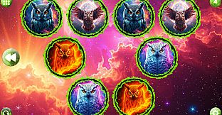 Space Memory: Owls