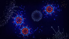 Microcosmum: survival of cells