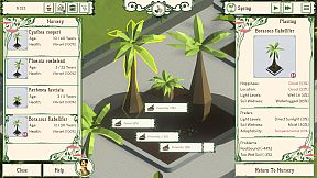 Palm Paradise Garden