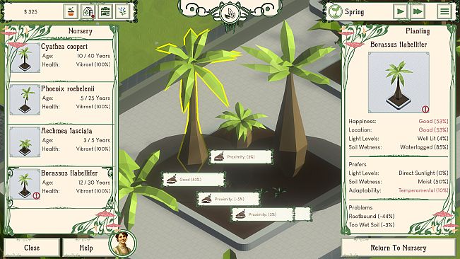 Palm Paradise Garden