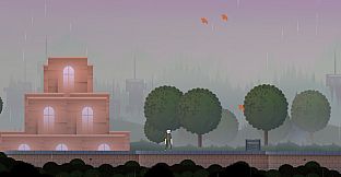 Foggy Rainfall Escapade