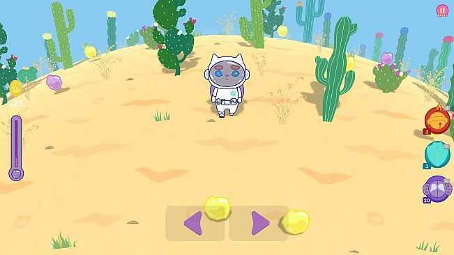 Kiwie vs Desert - Uniform Pack