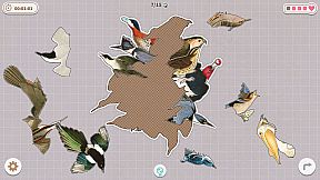 Birds Huddled Together