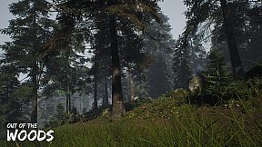 Out of the Woods