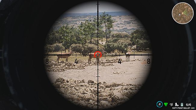 PROJECT HUNT - LONE STAR HUNTING RANCH