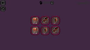 Animals Memory: Horses