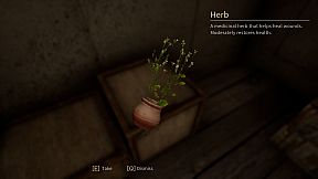 THE MADHOUSE | Infected Mansion