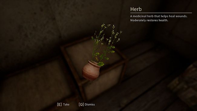 THE MADHOUSE | Infected Mansion