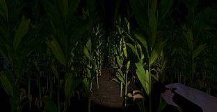 The Greys: Human Abductions