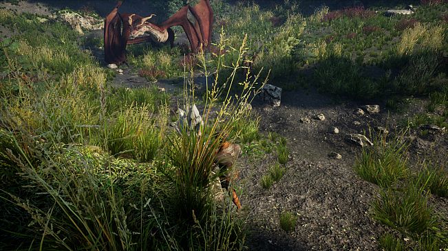 The Handler of Dragons