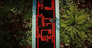 The Forest Cathedral