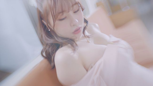 Blossom Voyage