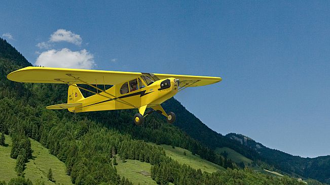 RealFlight Evolution – Hangar 9 J-3 Cub 10cc
