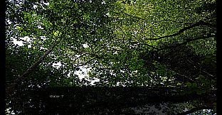 Ämäränth : The Last Day of My Adolescence