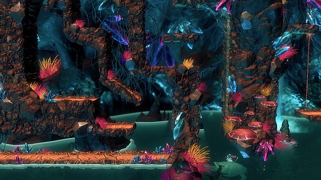 Macrotis: A Mother's Journey