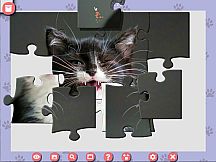 1001 Jigsaw. Cute Cats 4