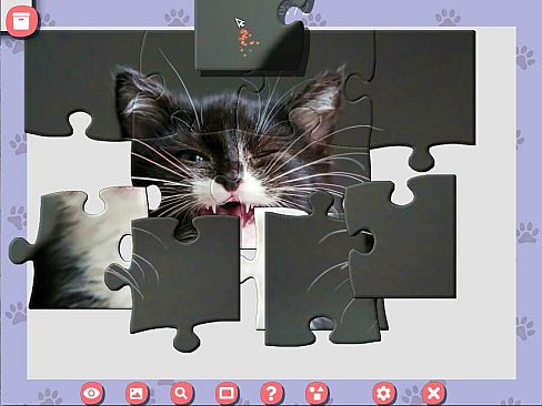 1001 Jigsaw. Cute Cats 4