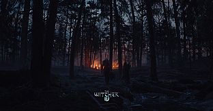 The Witcher 4