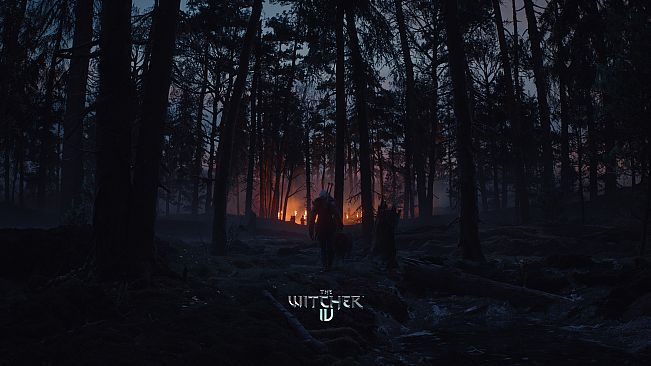 The Witcher 4