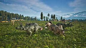 XenoWild: Survival Beyond