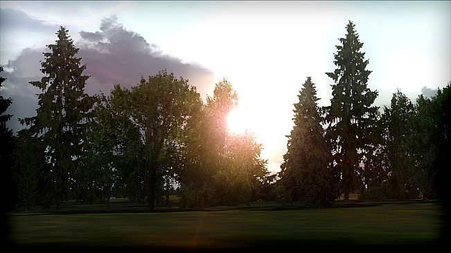 FSX: Steam Edition - FTX Trees HD Add-On