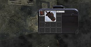 E.S.D.E