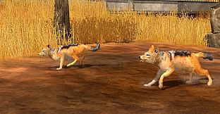 Wildlife Park 3 - Africa